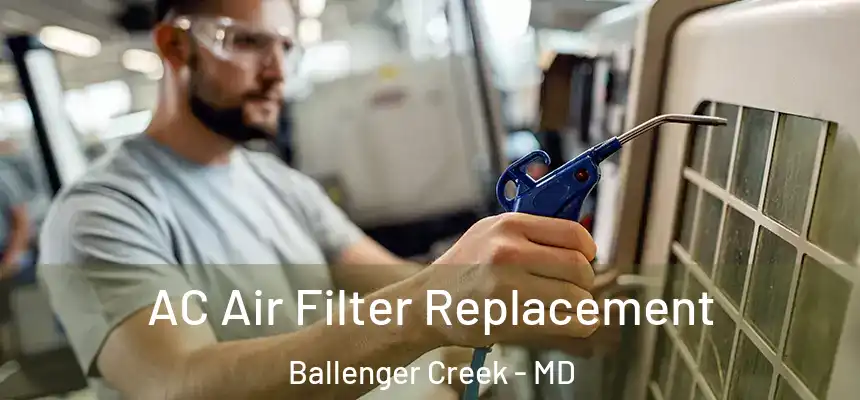  AC Air Filter Replacement Ballenger Creek - MD