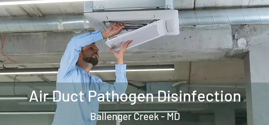  Air Duct Pathogen Disinfection Ballenger Creek - MD