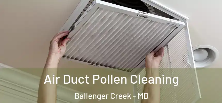  Air Duct Pollen Cleaning Ballenger Creek - MD