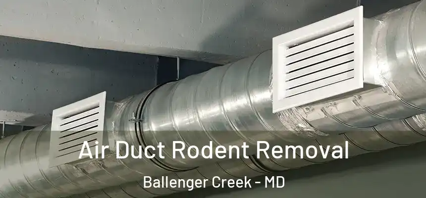  Air Duct Rodent Removal Ballenger Creek - MD