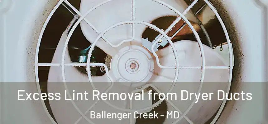  Excess Lint Removal from Dryer Ducts Ballenger Creek - MD
