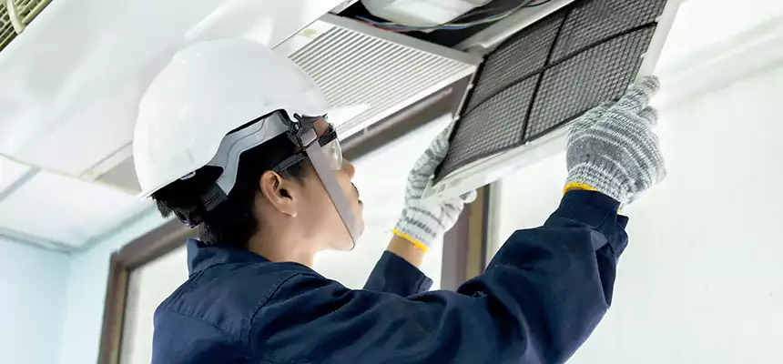 Our Mold & Mildew Removal from Air Ducts Services in Ballenger Creek, MD