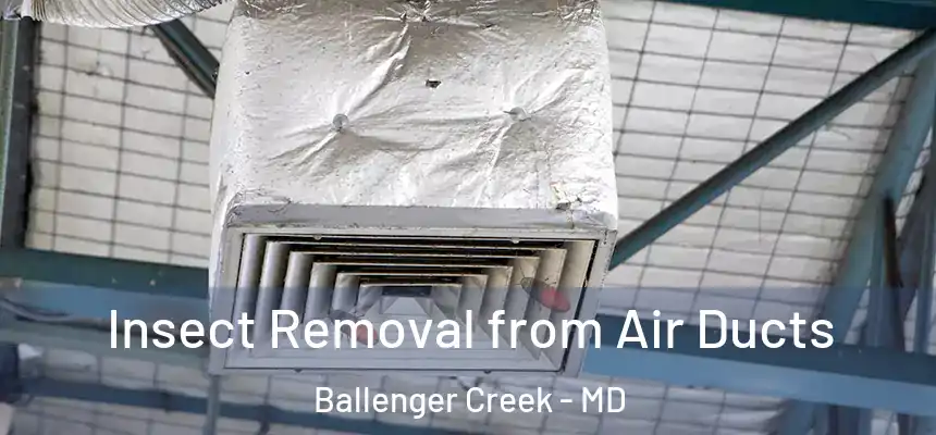  Insect Removal from Air Ducts Ballenger Creek - MD