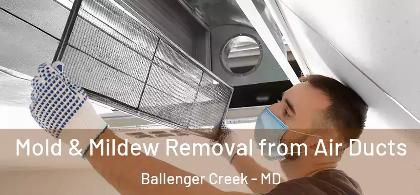 Mold & Mildew Removal from Air Ducts Ballenger Creek - MD