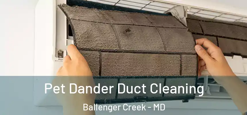  Pet Dander Duct Cleaning Ballenger Creek - MD