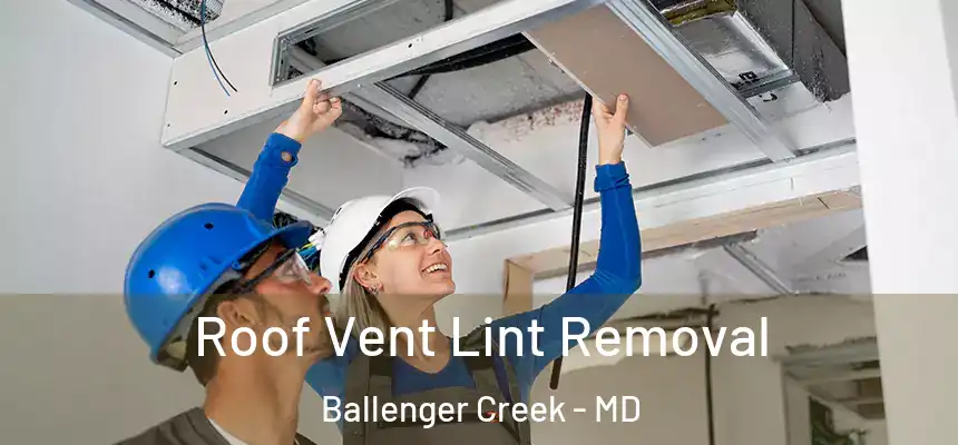  Roof Vent Lint Removal Ballenger Creek - MD