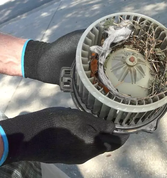 About Air Duct Mice Removal in Ballenger Creek, MD