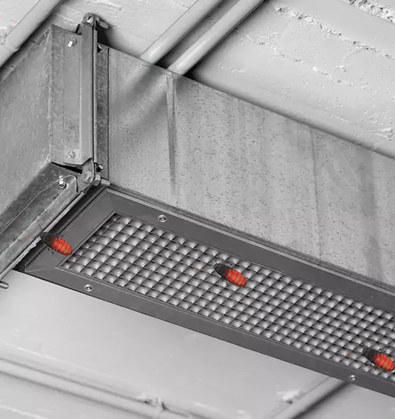 Affordable Insect Removal from Air Ducts in Ballenger Creek, MD