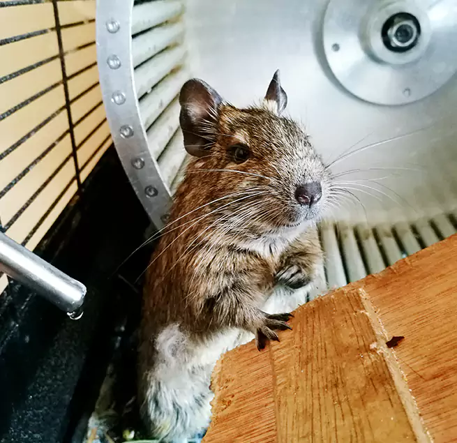 Why Homeowners & Businesses Trust Us Ballenger Creek, MD?