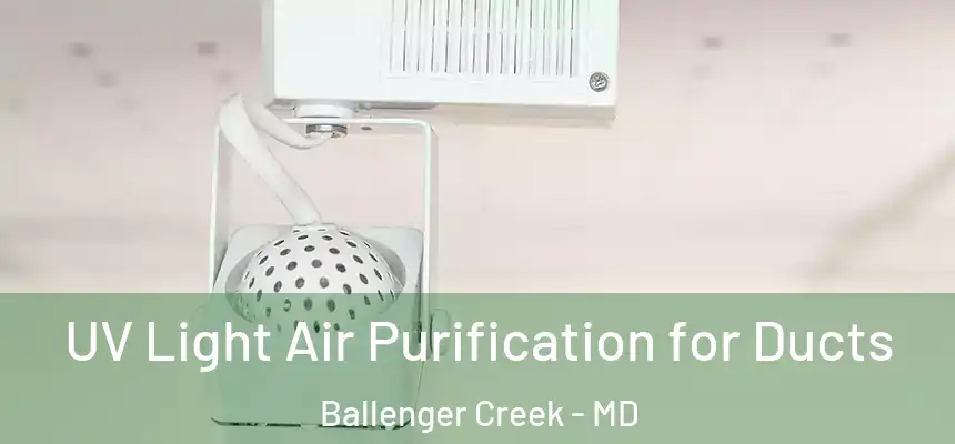  UV Light Air Purification for Ducts Ballenger Creek - MD